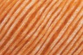 /album/fotogaleria-cotton-merino/cotton-merino-111-jpg1/